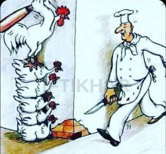 Elvileg ma csirke lesz ebédre