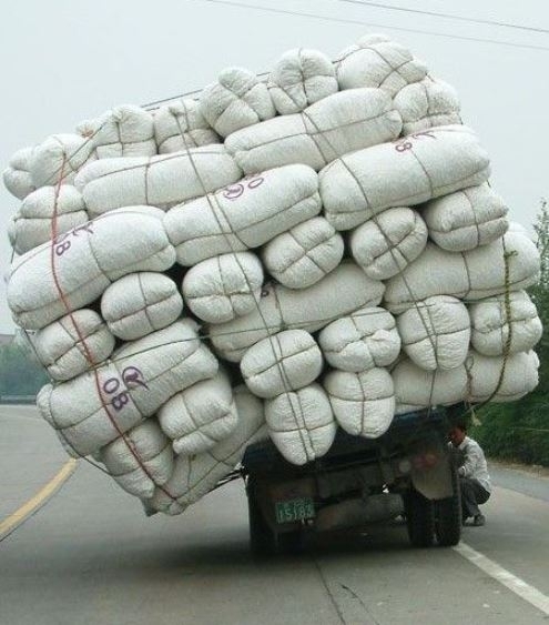 More, ebbű baj lesz!