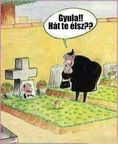 Egy kellemes meglepetés a temetőben