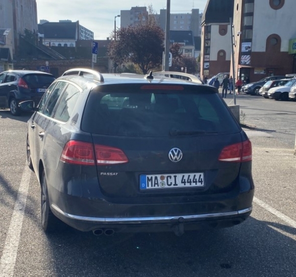 Maci hazajött mindenszentekre