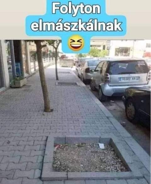 Ezek a fák már csak ilyenek