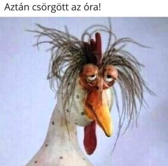 Szép voltam, gazdag és szexi