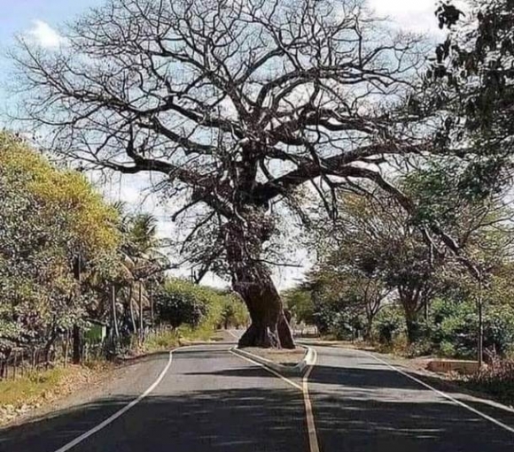 Megvédték a természetet