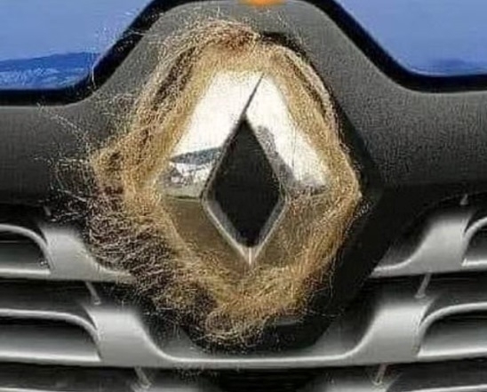 A kedvenc autómárkám