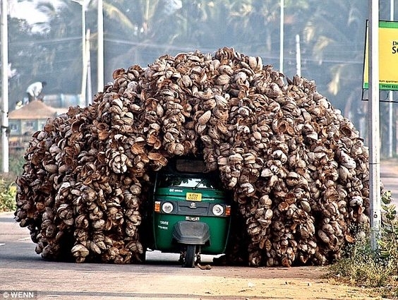 Fuvarban a szállító