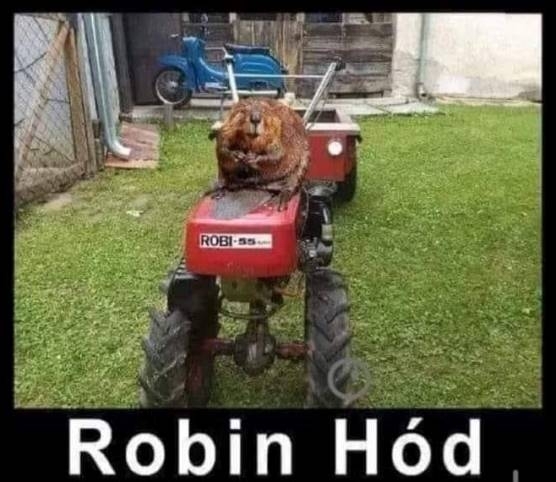 Vasárnapi pihentető