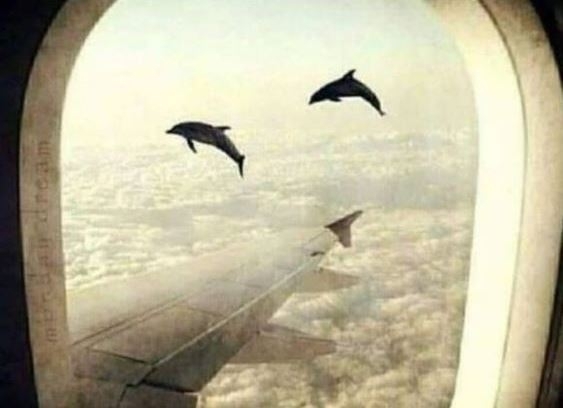 Amikor már biztos vagy benne, hogy nem mész át a drogteszten