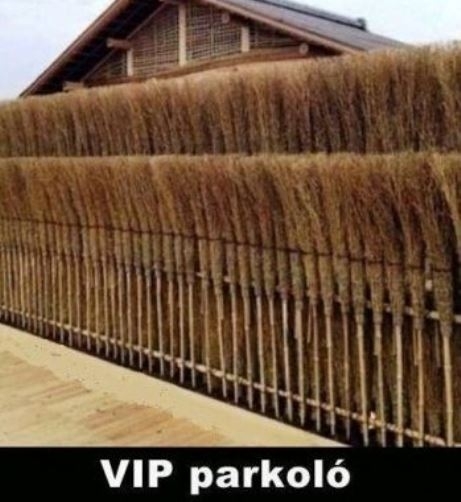 Nemzetközi anyóstalálkozó