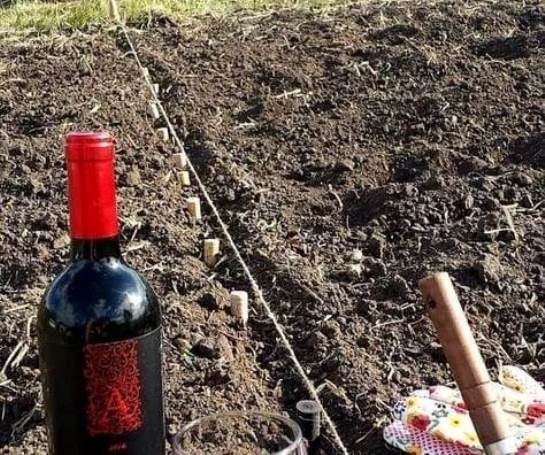 Kitaláltam egy érdekes ötletet