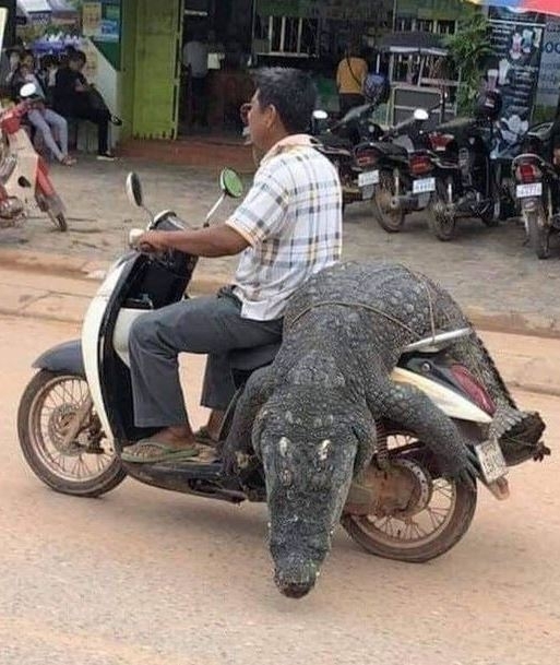 Fuvarban a szállító