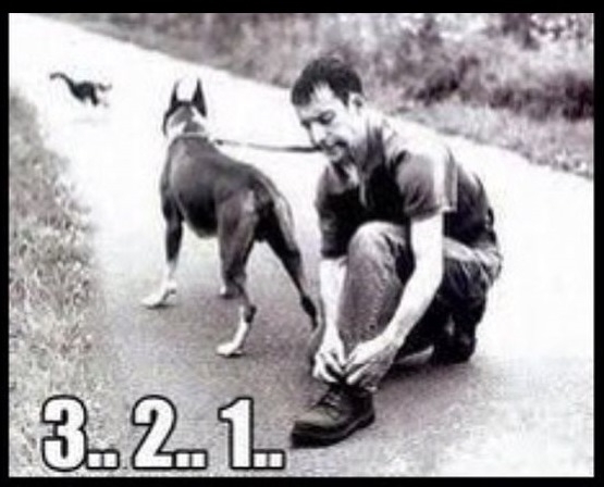 Fogak elvesztése indul