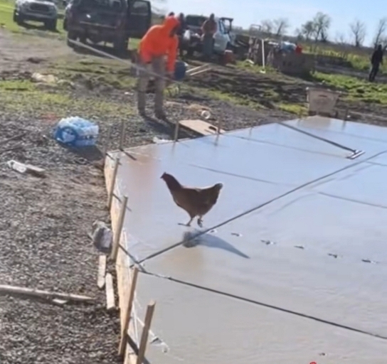 Mi legyen a mai ebéd?