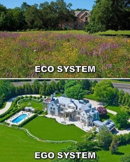 Öko rendszer vs. Ego