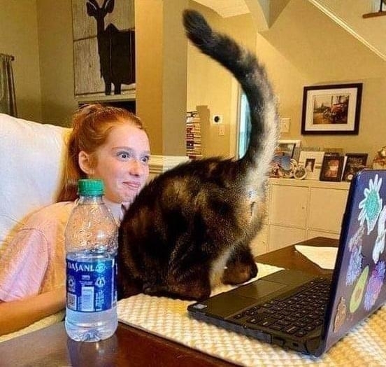 Amikor épp videóhívásban vagy a főnököddel