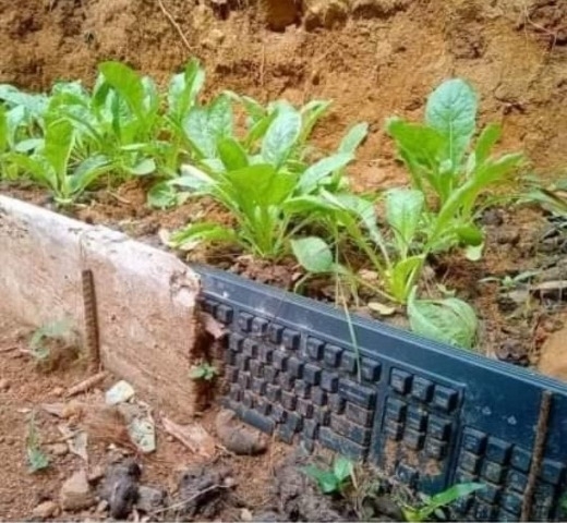 A technológia szerepe a mezőgazdaságban