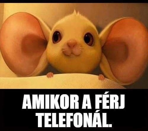 Így néz ki az asszony