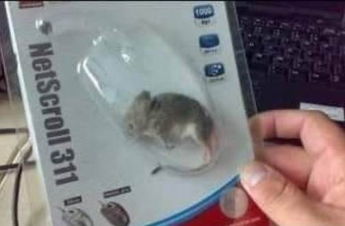 Ma vettem a kínaiban egy egeret a számítógéphez