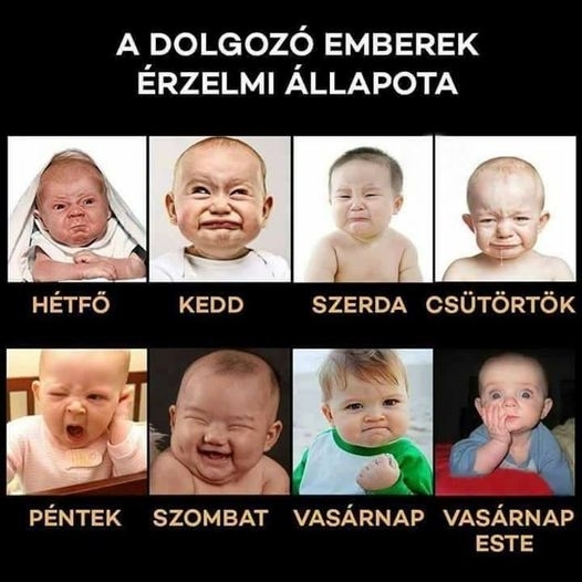 Indul egy újabb dolgos hét