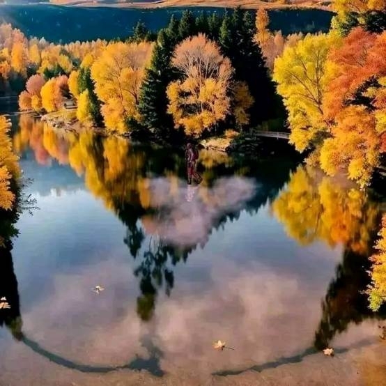 A természet csodái