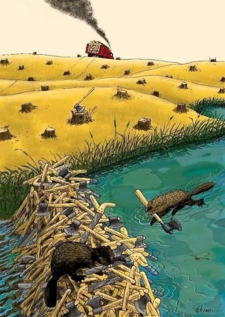 A legnagyobb állat az ember 🙁