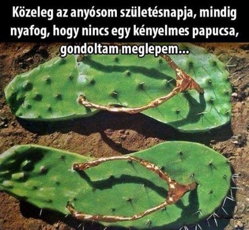 Biztos nagyon fog örülni a kedves mama