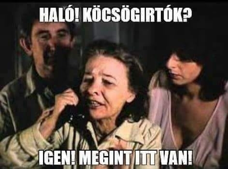 Sok itt a köcsög, nem csak a majálison 🙂