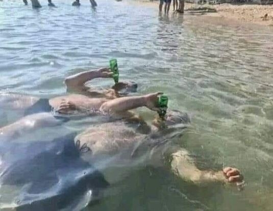 Palackos búvártanfolyam