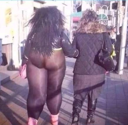 Bármi is ez végezni kell vele, mielőtt tojásokat rakna!