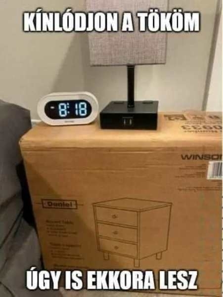 Ha a lustaság fájna, akkor sztem ő ordítana