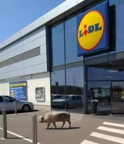 Csak mondja valaki, hogy nem friss a hús a Lidl-ben