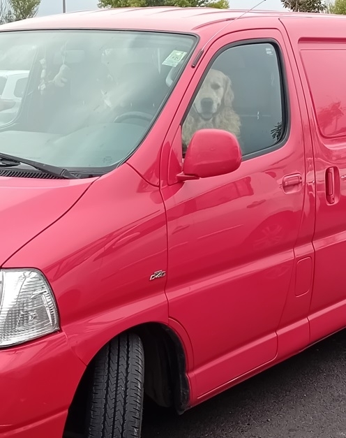 A csömöri Auchanban járt egy olvasónk