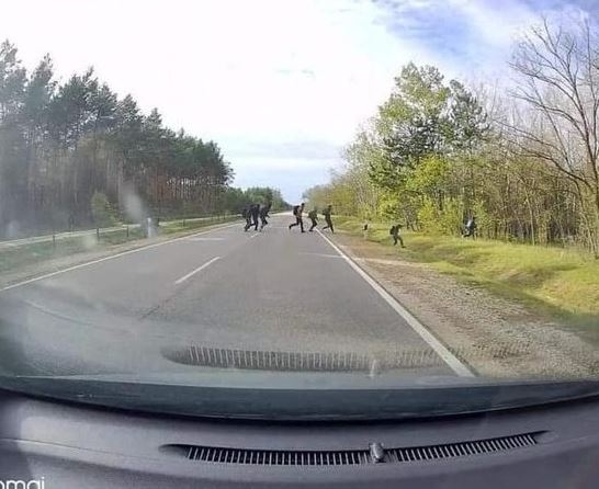 Már az őzek sem a régiek 🙂