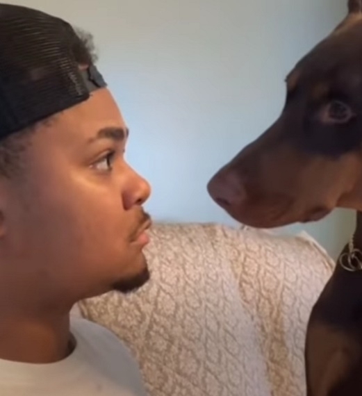 A pillanat amikor bevillan, hogy a kapun a kutyás tábla mégsem kamu volt