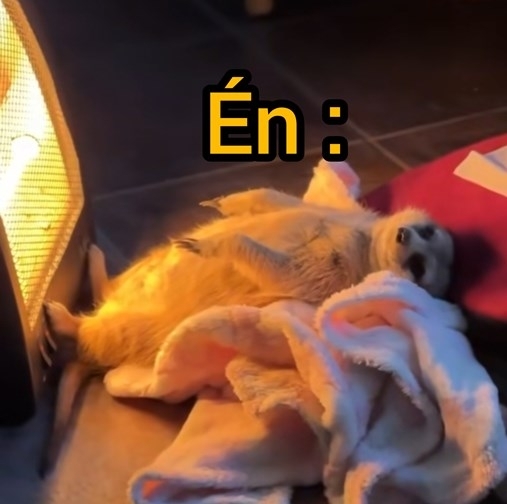 Igazából jól viselem a hideg téli estéket a nyári hónapok után