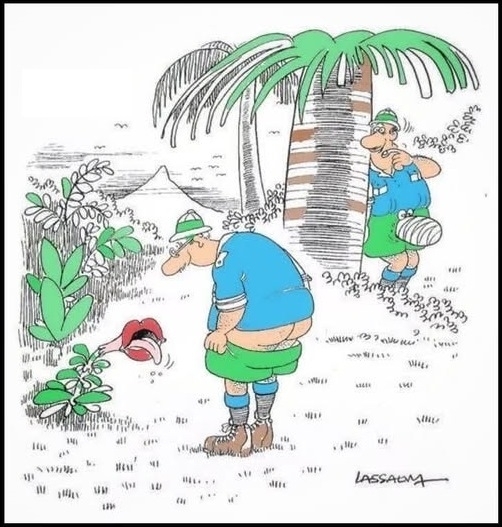 Emberünk úgy gondolta, hogy ez egy ingyenes lehetőség