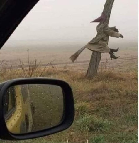 Ismét egy ködös reggel