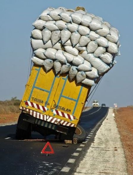 More, ebbű baj lesz!