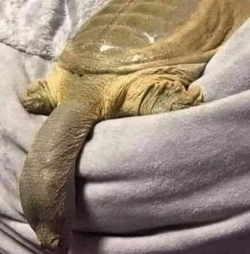 Amikor a barátnőd végre akarná, de te most jössz ki fáradtan a fürdőből 