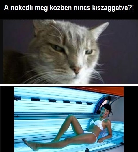 Szolizgtunk, szolizgatunk?