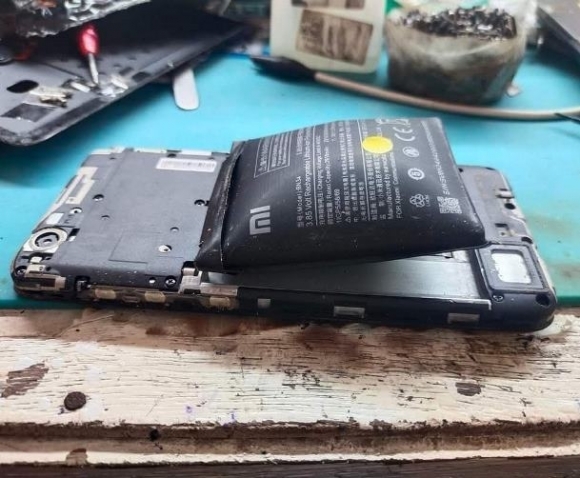 Kici, óccó, kínai