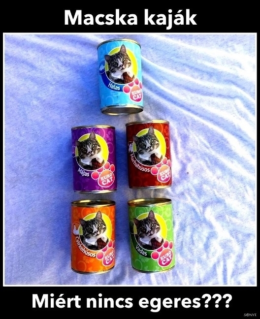 Befutott a nap kérdése