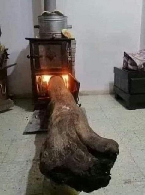 Amikor nem akarsz éjjel felkelni, ezért lefekvés előtt még teszel egyet a tűzre