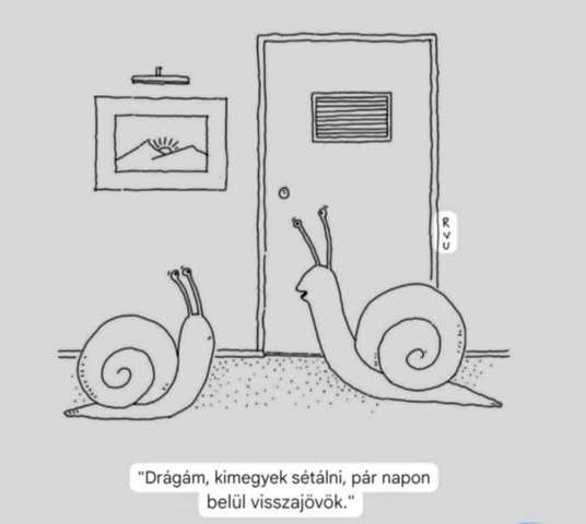 Friss levegőre vágyott