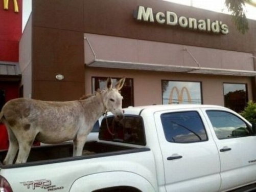 Egyszer mindenki megéhezik