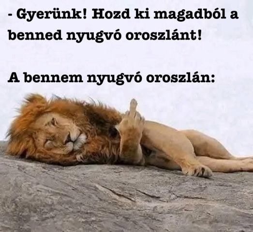 Lendületes hetet mindenkinek