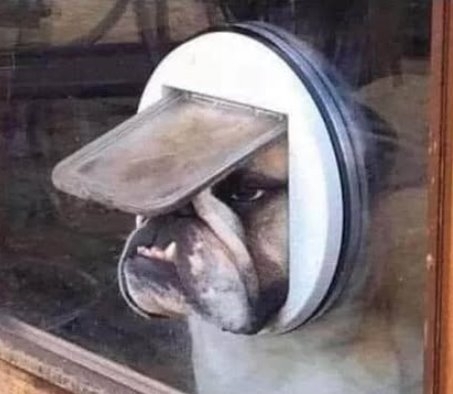 Frissen felvett hallgatók, akik csak benéznek az egyetemre