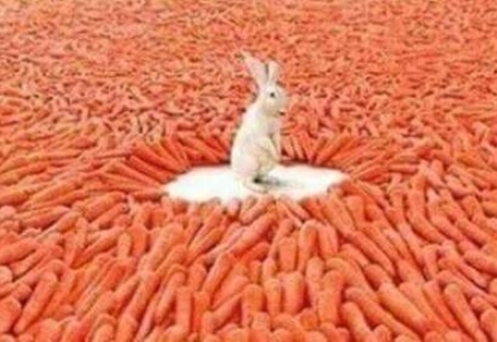 Amikor hajnali fél 5-kor már csak egy csaj van a táncparketten