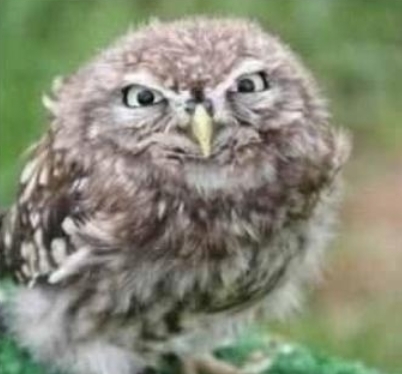 A csajom arca, amikor közlöm vele, hogy a szombat estét a haverokkal töltöm