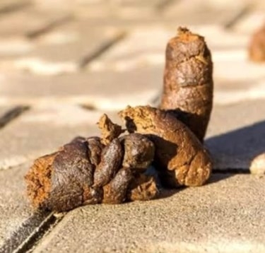 Ezt a posztot egy román fészbúk oldalon találtuk 🙂