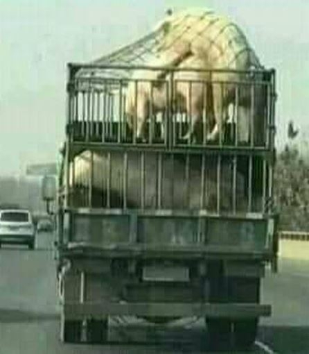 Élj úgy, mintha ma lenne az utolsó napod